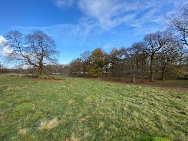 istock A view of the Cheshire Countryside 1287079547
