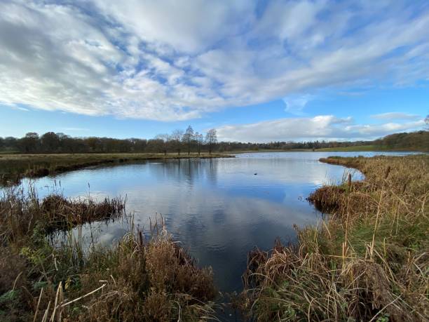 istock A view of the Cheshire Countryside 1287079569