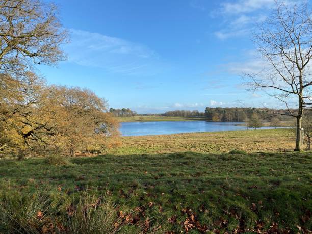istock A view of the Cheshire Countryside 1287079595