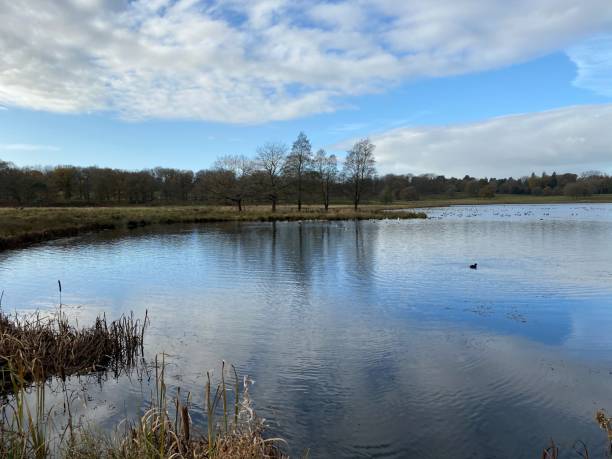 istock A view of the Cheshire Countryside 1287079597