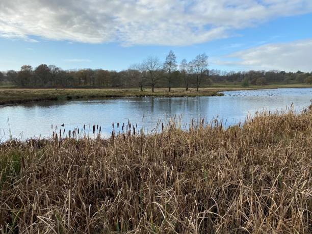 istock A view of the Cheshire Countryside 1287079600