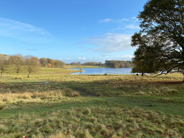 istock A view of the Cheshire Countryside 1287079697