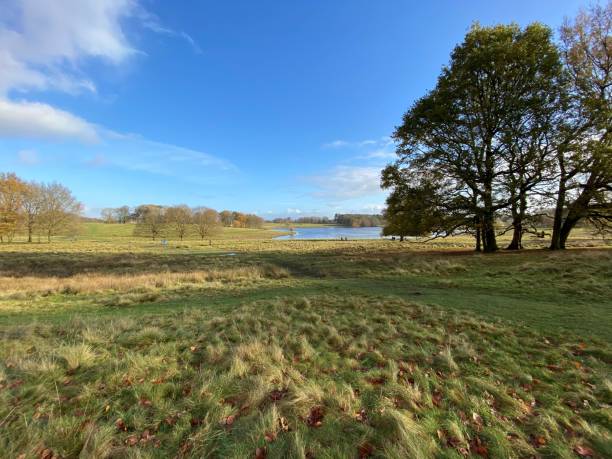 istock A view of the Cheshire Countryside 1287079782