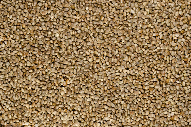 целые семена конопли, конопляное покрытие поверхности фона и поверхности, макро-пища фото - hemp seed nut raw стоковые фото и изображения