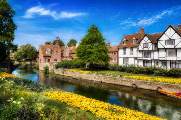 the great stour river running through the city of canterbury, near the westgate towers, kent, england - kent inglaterra imagens e fotografias de stock