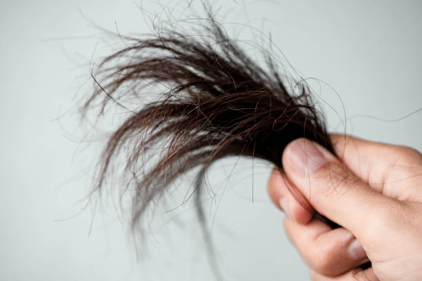 Damaged Hair Hand is showing damaged hair to camera in front of gray background. frizzy stock pictures, royalty-free photos & images