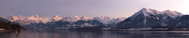 Panoramic view of lake and mountains. Panoramic view of lake thun and the famous jungfrau mountain range and niesen during sunset. lake thun stock pictures, royalty-free photos & images