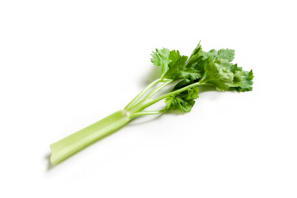 istock Wild Celery - 