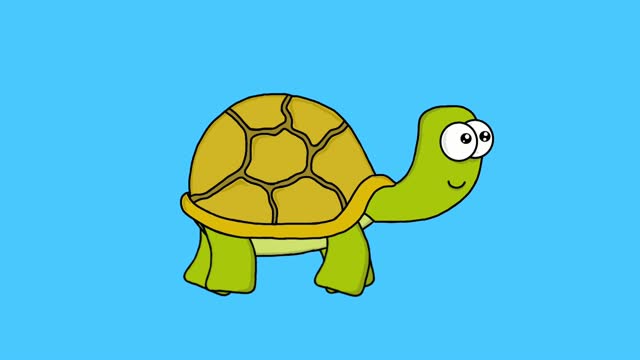 424 Funny Turtle Stock Videos and Royalty-Free Footage - iStock | Funny  sloth, Funny monkey, Funny elephant