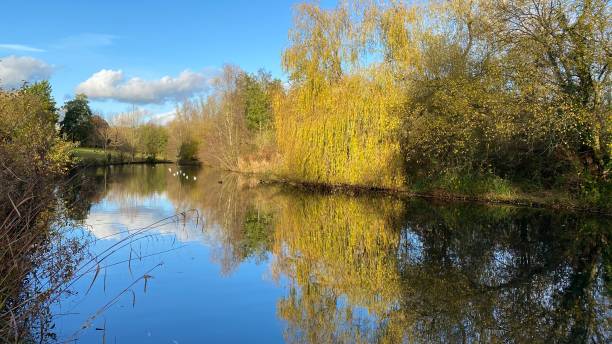 istock Trees reflecting on a canal on a sunny day 1287087750