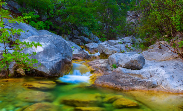 istock small river rushing over a stones in a mountain canyon 1287087960