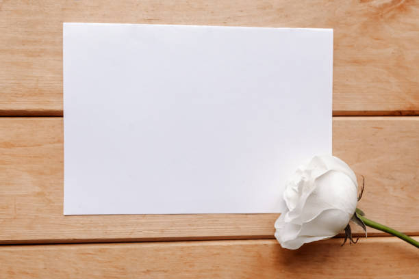 istock White rose and white mockup blank on wooden background, copy space for the text 1287089247