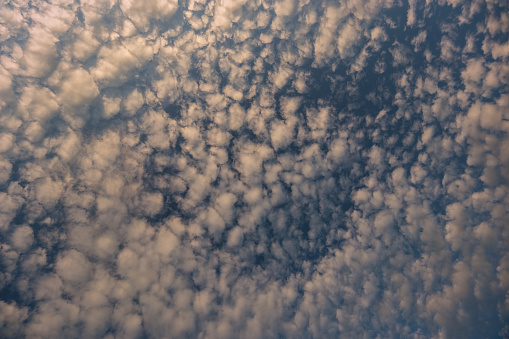 Stratocumulus evening clouds zenith direction view wide angle flat background
