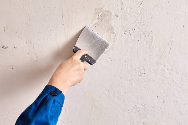 Repairman is finishing wall at home with putty and work tool. House painter putties the wall of the home with stucco and work tool during renovation. Handyman is finishing walls using putty. hand with a plaster spatula stock pictures, royalty-free photos & images