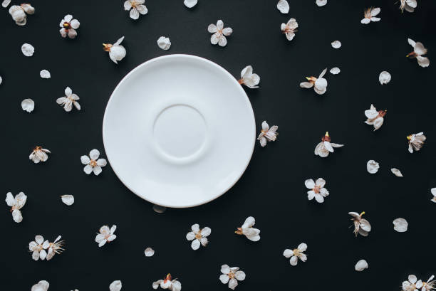 istock White round plate on a black background with apricot blossoming petals. Composition and concept. 1287096310