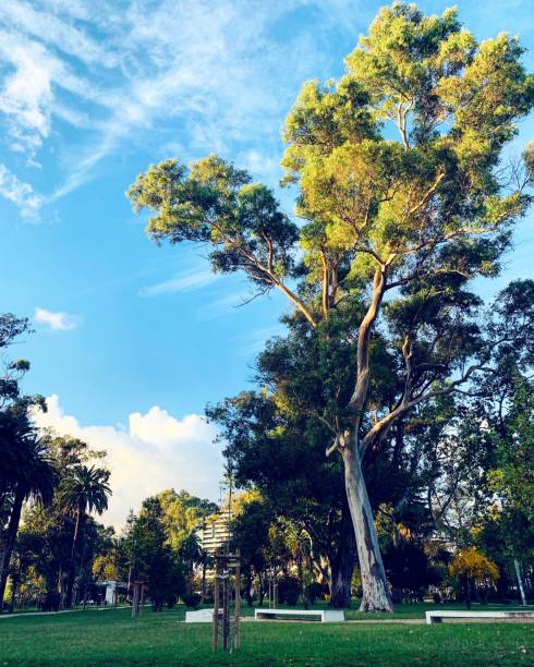 istock Beautiful winter day in Lisbon 1287097944