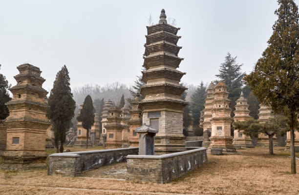 Pagoda Forest at Shaolin Temple in China Pagoda Forest at Shaolin Temple, near Luoyang in Henan province, China, one of the largest pagoda forests in China, inscribed as a UNESCO World Heritage Site shaolin monastery stock pictures, royalty-free photos & images