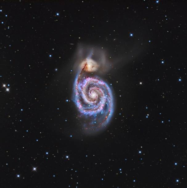 M51 Galaxy M51 the Vortex Galaxy is located in the constellation of hunting dogs and is 31 million light years away from us. It is one of the brightest galaxies in the night sky so much so that it was discovered in 1773 by Charles Messier while observing a comet. Its particular shape is due to the fact that we are facing two very distinct but interacting galaxies (M51a and M51b), some researchers think that the great definition of the arms of this galaxy is due precisely to this "galactic" interference . Photograph taken in March 2020 through the use of the personal observatory 3z Observatory. spiral galaxy stock pictures, royalty-free photos & images