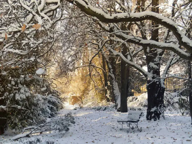 Photo of Sunny winter park with bench covered by snow.