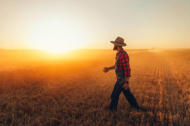istock It's a farmer's life 1287099399