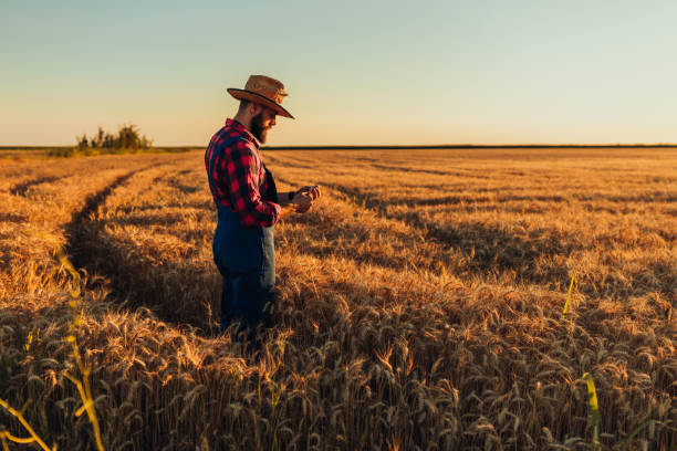 istock Growing your own is worth the effort 1287100213