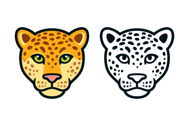 Cartoon jaguar leopard head Cartoon jaguar or leopard head, color and black and white. Wild big cat face symbol, mascot design. Isolated vector illustration. jaguar stock illustrations