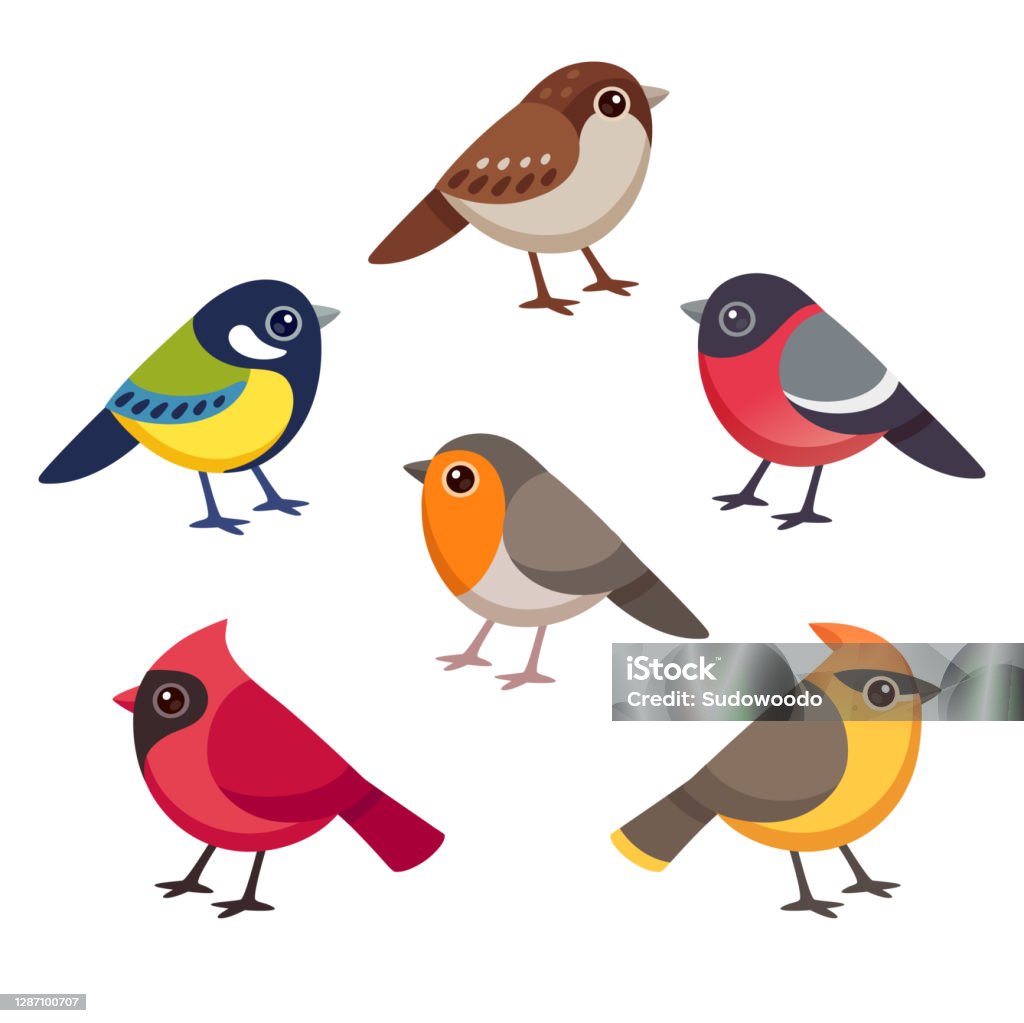 Small Birds Cartoon Drawing Set Stock Illustration - Download ...