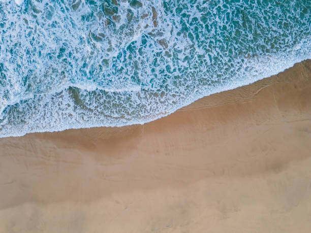 istock Beach shore waves cenital aerial shot 1287101705