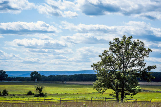 View in direction \