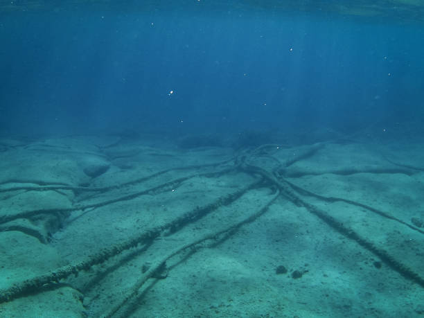 cabos subaquáticos no fundo do oceano pedregoso - undersea - fotografias e filmes do acervo