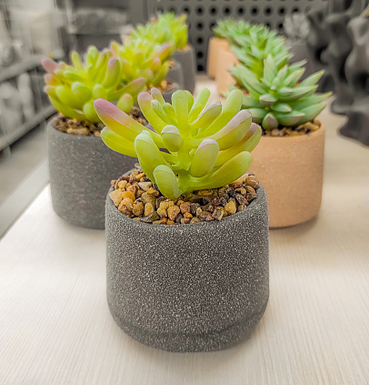 Green artificial houseplant in flower pot with pebbles on table with row of similar plants.