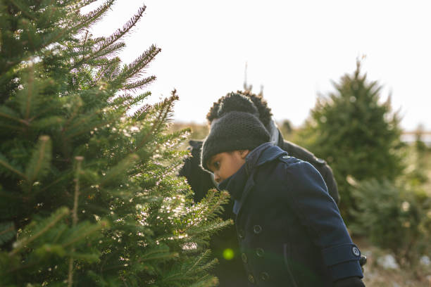 istock A father and daughter choose a Christmas tree together at a tree farm 1287119411