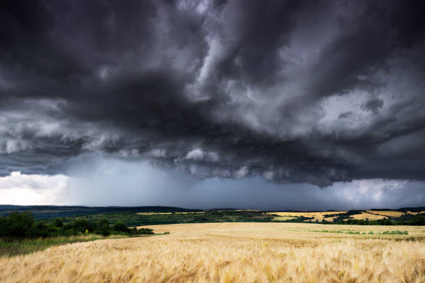 istock Beautifully structured severe thunderstorm in the  wheat field at summer 1287120892