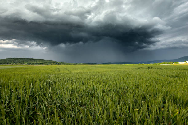istock A severe thunderstorm shelf cloud races across the country side in spring 1287120902