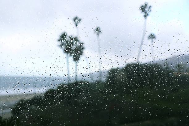 Rain in Los Angeles Malibu Ca