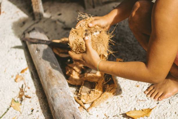 Opening a coconut