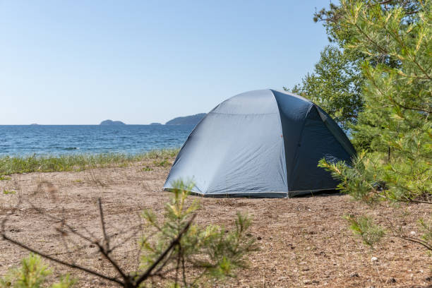 istock Camping by Lake Superior in Summer 1287132451