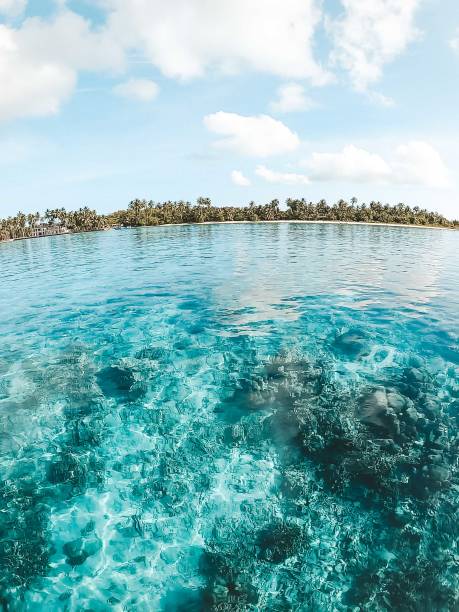 istock Tropical paradise with clear water 1287134100
