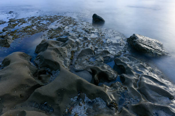 istock Tide Pools - La Jolla, San Diego, California 1287138921