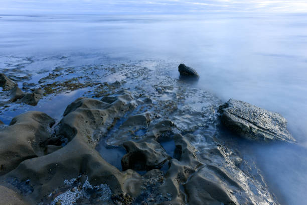 istock Tide Pools - La Jolla, San Diego, California 1287139037