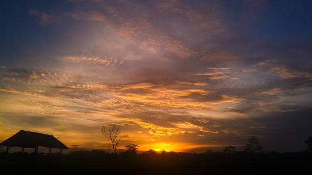 istock Beautiful sunsets need cloudy skies. 1287141459