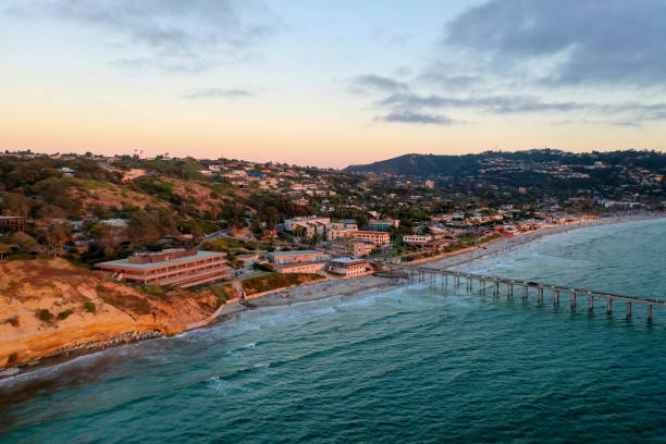 istock Scripps Coastal Reserve - California 1287144013