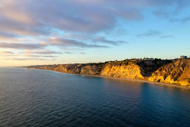 istock Scripps Coastal Reserve - California 1287144184