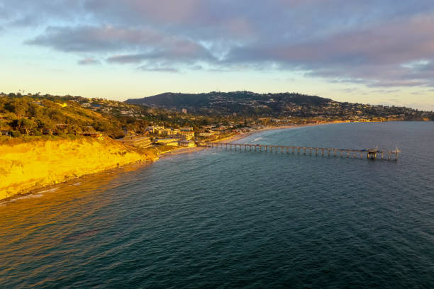 istock Scripps Coastal Reserve - California 1287144200