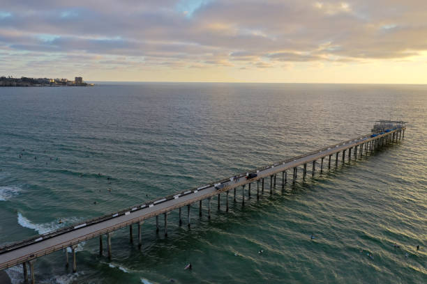 istock Scripps Coastal Reserve - California 1287144290