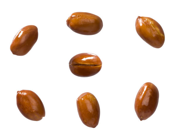 istock set of roasted ground nuts organic nuts isolated on white background 1287149310