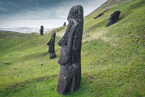 Majestic Easter Island Moai Statues at Rano Raraku. Rano Raraku, Rapa Nui National Park, Hanga Roa, Easter Island, Chile.