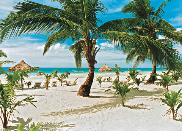 Almost empty clean paradise White Beach of Boracay Island with many coconut trees at a sunny day with blue sky, Aklan, Visayas, Philippines,