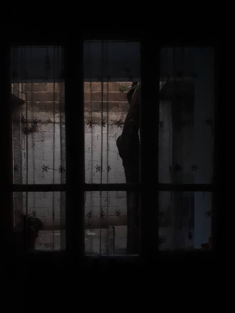 The View behind the Dark Room and the Light Window