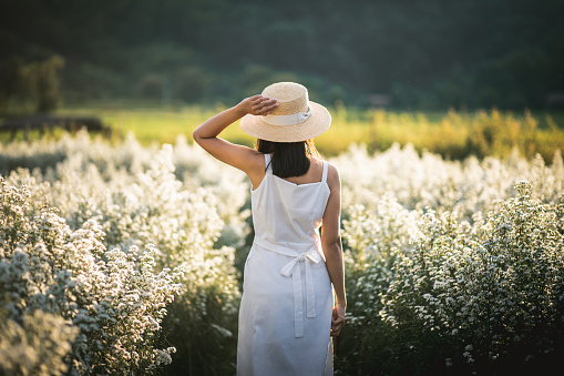 Winter travel relax vacation concept, Young happy traveler asian woman with dress sightseeing on flowers field in garden at Chiang Mai, Thailand